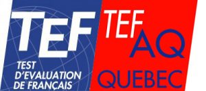 TEF_tefaq-20e98efac87143b7f76760e4fc25ae0f