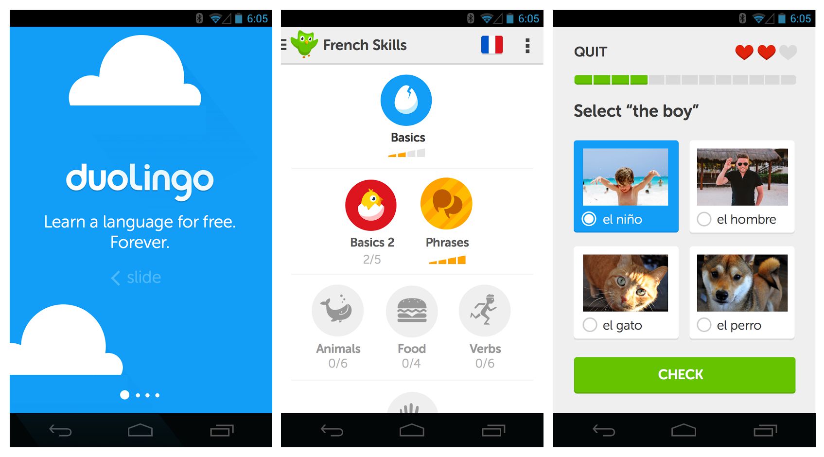 اپلیکیشنهای آموزش زبان Duolingo