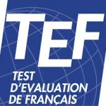 آزمون tef زبان فرانسه